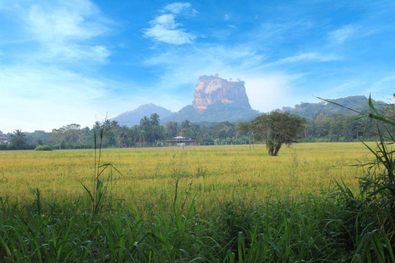 Sigiriya Hillside View Villa Exteriör bild