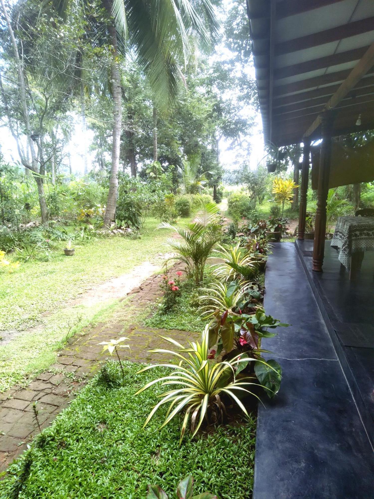 Sigiriya Hillside View Villa Exteriör bild